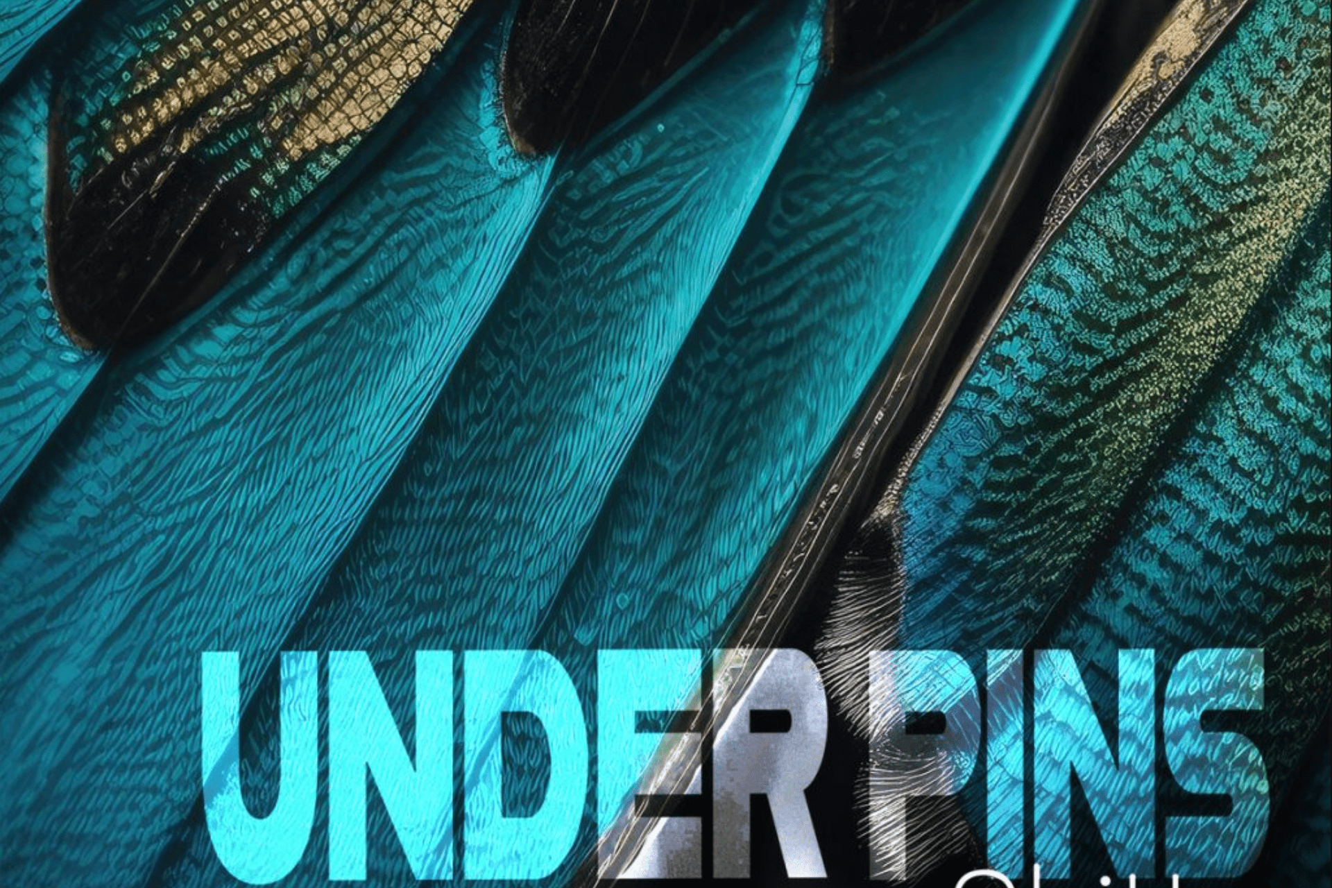6kitty alt rock album underpins